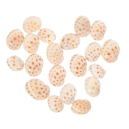 ARTSEWPLY 40 Stück Teiliges Natürliche Kleine Muschel deko DIY Aquarium Behausung Ornament für Gartenteich und Fischbecken Vielseitige Unterwasser Dekoration ARTSEWPLY 40 Stück Teiliges Natürliche Kleine Muschel deko DIY Aquarium Behausung Ornament für Gartenteich und Fischbecken Vielseitige Unterwasser Dekoration von ARTSEWPLY