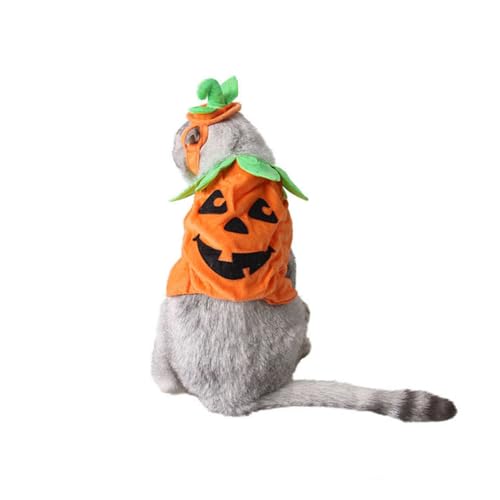 ARTSEWPLY Halloween Haustier Kürbis Kostüm aus Weichem Polyester Verstellbar mit Klettband Dreidimensionales Design Komfortabel und Atmungsaktiv für Halloween Partys und Karneval Orange ARTSEWPLY Halloween Haustier Kürbis Kostüm aus Weichem Polyester Verstellbar mit Klettband Dreidimensionales Design Komfortabel und Atmungsaktiv für Halloween Partys und Karneval Orange von ARTSEWPLY