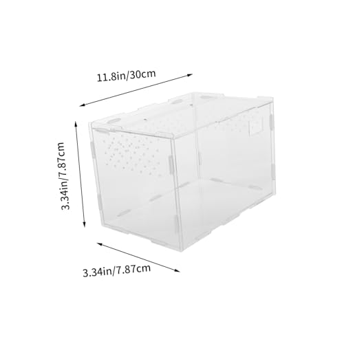 ARTSEWPLY Transparente Acryl Reptilienbox für Kleine Haustiere Wie Spinnen Eidechsen Schildkröten und Frösche Kratzfestes Wetterbeständiges Terrarium mit Hoher Temperaturbeständigkeit und von ARTSEWPLY