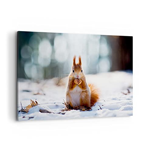 Wandbilder Dekoration Wohnzimmer Eichhörnchen Winter Schnee Essen Bilder auf Leinwand 120x80cm Leinwandbild Schlafzimmer Deko Wand Kunstdruck Art Groß XXL Wanddeko Bild Wall Decor Canvas AA120x80-2798 von ARTTOR