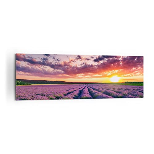 Panorama Bilder auf Leinwand 160x50cm Leinwandbild Lavendel Berge Feld Groß XXL Wanddeko Bild Schlafzimmer Küche Wandbilder Dekoration Wohnzimmer Wall Decor Canvas Wand Kunstdruck Art AB160x50-3816 von ARTTOR