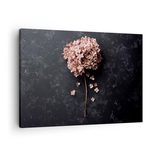 ARTTOR Bilder auf Leinwand Blume Hortensie Natur Leinwandbild 70x50cm Wandbilder Dekoration Wohnzimmer Schlafzimmer Küche Deko Klein Wanddeko Bild Wand Kunstdruck Art Wall Decor Canvas AA70x50-5244 ARTTOR Bilder auf Leinwand Blume Hortensie Natur Leinwandbild 70x50cm Wandbilder Dekoration Wohnzimmer Schlafzimmer Küche Deko Klein Wanddeko Bild Wand Kunstdruck Art Wall Decor Canvas AA70x50-5244 von ARTTOR