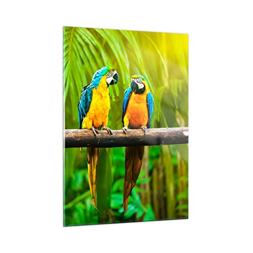 Bilder auf Glas Papageien Collorful Natur Vögel Glasbild 50x70cm Wandbilder Dekoration Wohnzimmer Schlafzimmer Küche Deko Klein Wanddeko Bild im Glas Wand Kunstdruck Art Modern Wall GPA50x70-2696 von ARTTOR