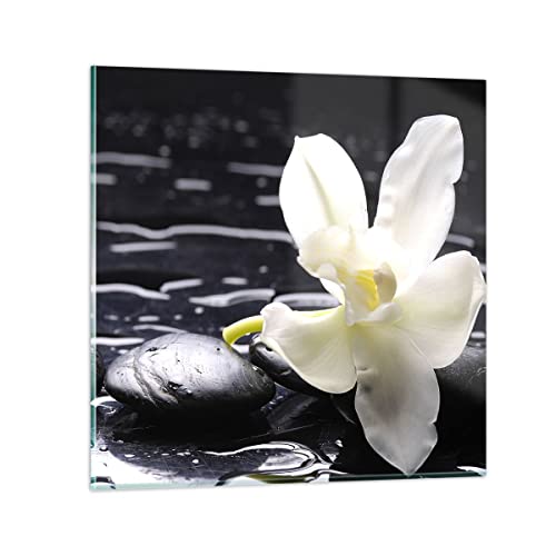 Bilder auf Glas Spa Orchidee Steine Wasser Glasbild 30x30cm Wandbilder Dekoration Wohnzimmer Schlafzimmer Küche Deko Klein Wanddeko Bild im Glas Wand Kunstdruck Art Modern Wall Decor GAC30x30-0444 von ARTTOR