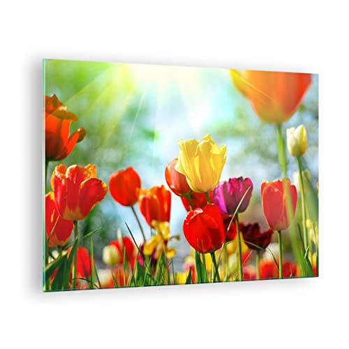 Bilder auf Glas Tulpe Blume Plantage Wiese Glasbild 70x50cm Wandbilder Dekoration Wohnzimmer Schlafzimmer Küche Deko Klein Wanddeko Bild im Glas Wand Kunstdruck Art Modern Wall Decor GAA70x50-2566 von ARTTOR