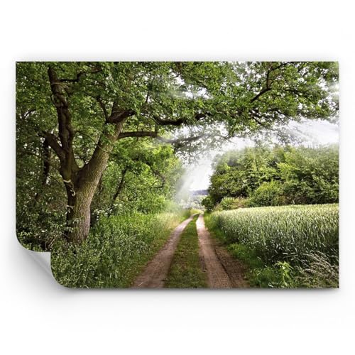ARTTOR Fototapete Premium Canvas - Pfad Natur Wald Grün - 350x256 cm - Fototapeten Tapeten Moderne Wand Dekoration XXL Wandtapete Motivtapeten Bildtapete Schlafzimmer Wohnzimmer - WF3AA350x256-2637 ARTTOR Fototapete Premium Canvas - Pfad Natur Wald Grün - 350x256 cm - Fototapeten Tapeten Moderne Wand Dekoration XXL Wandtapete Motivtapeten Bildtapete Schlafzimmer Wohnzimmer - WF3AA350x256-2637 von ARTTOR