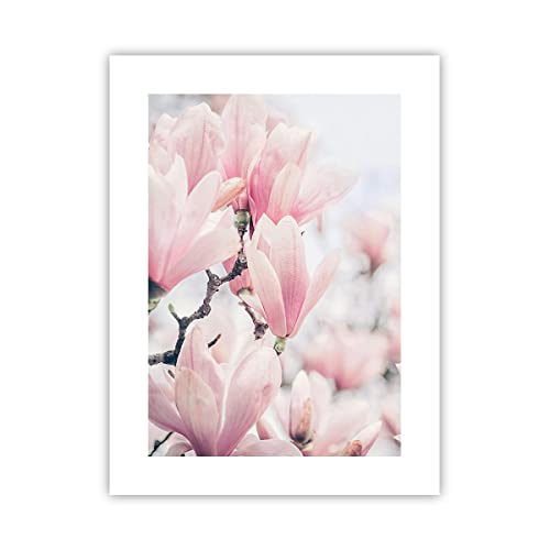 Poster ohne Rahmen Magnolie Blumen Rosa Deko 30x40cm Wandposter Art Prints Wandbilder Dekoration Wohnzimmer Schlafzimmer Küche Wanddeko Bild Wand Kunstdruck Modern Wall Art Decor - P2XPA30x40-4396 von ARTTOR