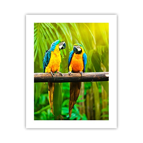 Poster ohne Rahmen Deko 40x50cm Papageien Collorful Natur Vögel Wandposter Art Prints Wanddeko Bild Wand Kunstdruck Wandbilder Dekoration Wohnzimmer Schlafzimmer Küche Modern Wall Art P2XPA40x50-2696 von ARTTOR