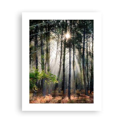 ARTTOR Poster ohne Rahmen Deko 40x50cm Wald Natur Sonne Wandposter Art Prints Wanddeko Bild Wand Kunstdruck Wandbilder Dekoration Wohnzimmer Schlafzimmer Küche Modern Wall Art Decor - P2XPA40x50-6064 von ARTTOR