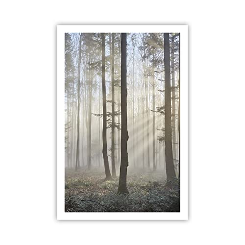 ARTTOR Poster ohne Rahmen Wald Baum Natur Deko 61x91cm Wandposter Art Prints Wandbilder Dekoration Wohnzimmer Schlafzimmer Küche Wanddeko Bild Wand Kunstdruck Modern Wall Art Decor - P2XPA61x91-3749 von ARTTOR