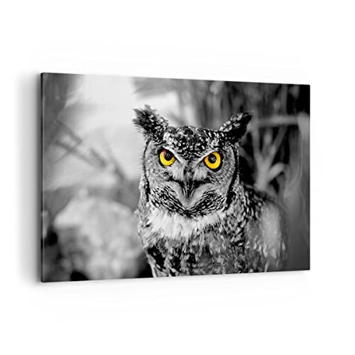 ARTTOR Wandbilder Dekoration Wohnzimmer Eule Vogel Natur Bilder auf Leinwand 120x80cm Leinwandbild Schlafzimmer Küche Deko Wand Kunstdruck Art Groß XXL Wanddeko Bild Wall Decor Canvas AA120x80-1318 ARTTOR Wandbilder Dekoration Wohnzimmer Eule Vogel Natur Bilder auf Leinwand 120x80cm Leinwandbild Schlafzimmer Küche Deko Wand Kunstdruck Art Groß XXL Wanddeko Bild Wall Decor Canvas AA120x80-1318 von ARTTOR
