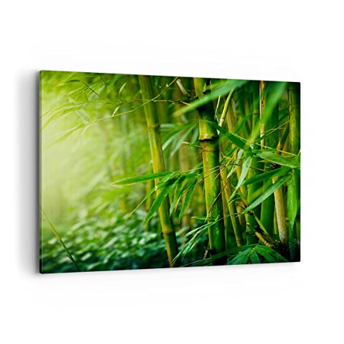 Bild auf Leinwand - Leinwandbild - Bambus Pflanze - 100x70cm - Wand Bild - Wanddeko - Wandbilder - Leinwanddruck - Bilder - Kunstdruck - Wanddekoration - Leinwand bilder - Wandkunst - AA100x70-3558 von ARTTOR
