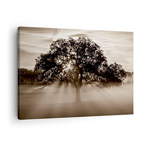 Bilder auf Leinwand Baum Feld Natur Leinwandbild mit Rahmen 70x50cm Wandbilder Dekoration Wohnzimmer Schlafzimmer Küche Deko Klein Wanddeko Bild Wand Kunstdruck Art Wall Decor Canvas AA70x50-3811 von ARTTOR