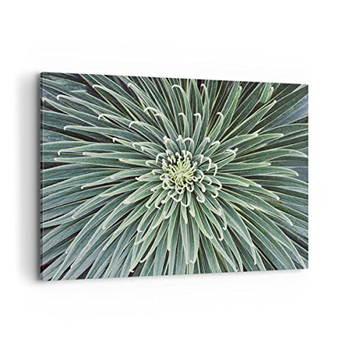 ARTTOR Wandbilder Dekoration Wohnzimmer Agave Grün Pflanze Bilder auf Leinwand 120x80cm Leinwandbild Schlafzimmer Küche Deko Wand Kunstdruck Art Groß XXL Wanddeko Bild Wall Decor Canvas AA120x80-4905 von ARTTOR