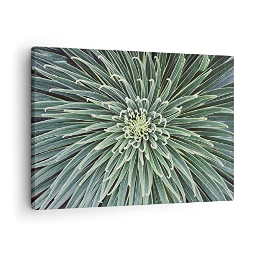 Bilder auf Leinwand Agave Grün Pflanze Leinwandbild mit Rahmen 70x50cm Wandbilder Dekoration Wohnzimmer Schlafzimmer Küche Deko Klein Wanddeko Bild Wand Kunstdruck Art Wall Decor Canvas AA70x50-4905 von ARTTOR