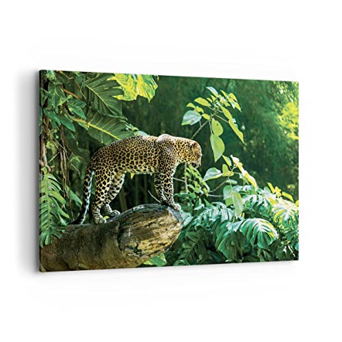 Bild auf Leinwand - Leinwandbild - Einteilig - Dschungel Leopard Panther - 100x70cm - Wand Bild - Wanddeko - Wandbilder - Leinwanddruck - Bilder - Wanddekoration - Leinwand bilder - AA100x70-4502 von ARTTOR