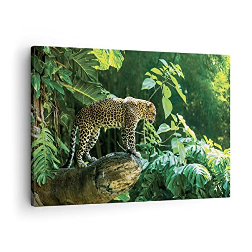 Bilder auf Leinwand Dschungel Leopard Panther Leinwandbild 70x50cm Wandbilder Dekoration Wohnzimmer Schlafzimmer Küche Deko Klein Wanddeko Bild Wand Kunstdruck Art Wall Decor Canvas AA70x50-4502 Bilder auf Leinwand Dschungel Leopard Panther Leinwandbild 70x50cm Wandbilder Dekoration Wohnzimmer Schlafzimmer Küche Deko Klein Wanddeko Bild Wand Kunstdruck Art Wall Decor Canvas AA70x50-4502 von ARTTOR