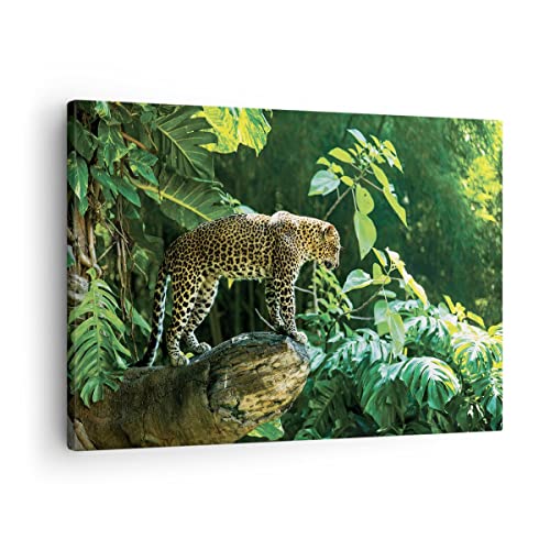 Bilder auf Leinwand Dschungel Leopard Panther Leinwandbild 70x50cm Wandbilder Dekoration Wohnzimmer Schlafzimmer Küche Deko Klein Wanddeko Bild Wand Kunstdruck Art Wall Decor Canvas AA70x50-4502 von ARTTOR