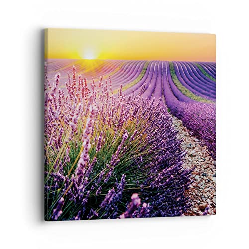 Bilder auf Leinwand 40x40cm Leinwandbild mit Rahmen Feld Lavendel Sonne Klein Wanddeko Bild Schlafzimmer Küche Deko Wandbilder Dekoration Wohnzimmer Wall Decor Canvas Wand Kunstdruck Art AC40x40-4703 von ARTTOR