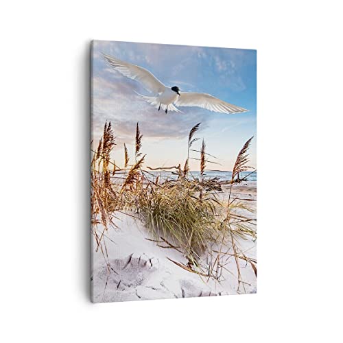 Bilder auf Leinwand Möwe Meer Küste Leinwandbild mit Rahmen 50x70cm Wandbilder Dekoration Wohnzimmer Schlafzimmer Küche Deko Groß Wanddeko Bild Wand Kunstdruck Art Wall Decor Canvas PA50x70-4902 von ARTTOR