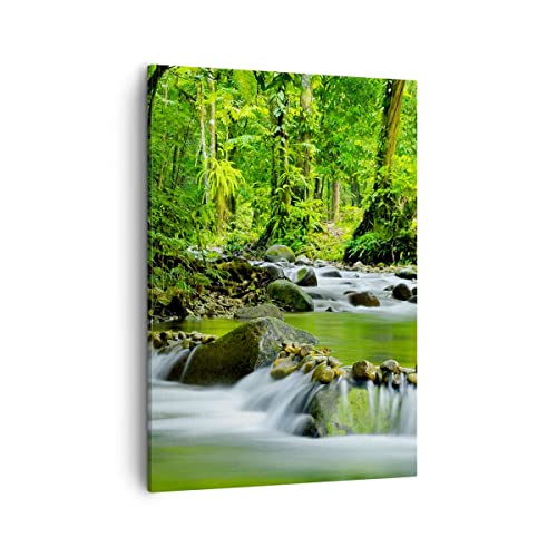 Bilder auf Leinwand Stream Wald Natur Leinwandbild mit Rahmen 50x70cm Wandbilder Dekoration Wohnzimmer Schlafzimmer Küche Deko Groß Wanddeko Bild Wand Kunstdruck Art Wall Decor Canvas PA50x70-0174 von ARTTOR