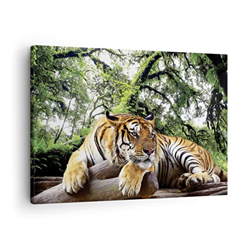 Bilder auf Leinwand Tiger Dschungel Ruhe Leinwandbild mit Rahmen 70x50cm Wandbilder Dekoration Wohnzimmer Schlafzimmer Küche Deko Klein Wanddeko Bild Wand Kunstdruck Art Wall Decor Canvas AA70x50-4166 von ARTTOR