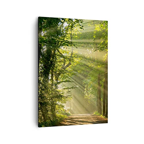 Bilder auf Leinwand Wald Baum Natur Leinwandbild mit Rahmen 50x70cm Wandbilder Dekoration Wohnzimmer Schlafzimmer Küche Deko Groß Wanddeko Bild Wand Kunstdruck Art Wall Decor Canvas PA50x70-3661 von ARTTOR