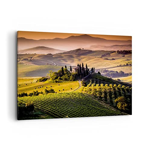 Bilder auf Leinwand 100x70cm Leinwandbild Landwirtschaft Bauernhof Toskana Weinberg Groß Wanddeko Bild Schlafzimmer Deko Wandbilder Dekoration Wohnzimmer Decor Canvas Wand Kunstdruck Art AA100x70-2465 von ARTTOR