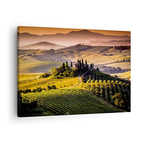 Bilder auf Leinwand Landwirtschaft Bauernhof Toskana Weinberg Leinwandbild 70x50cm Wandbilder Dekoration Wohnzimmer Schlafzimmer Deko Klein Wanddeko Bild Wand Kunstdruck Art Decor Canvas AA70x50-2465 von ARTTOR