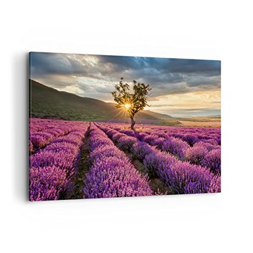 Wandbilder Dekoration Wohnzimmer Lavendel Berge Feld Bilder auf Leinwand 120x80cm Leinwandbild Schlafzimmer Küche Deko Wand Kunstdruck Art Groß XXL Wanddeko Bild Wall Decor Canvas AA120x80-3645 von ARTTOR