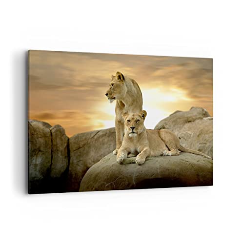 Wandbilder Dekoration Wohnzimmer Löwen Sonnenuntergang Felsen Krallen Bilder auf Leinwand 120x80cm Leinwandbild Schlafzimmer Deko Wand Kunstdruck Art Groß XXL Wanddeko Bild Decor Canvas AA120x80-2958 von ARTTOR