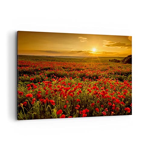 Bilder auf Leinwand 100x70cm Leinwandbild mit Rahmen Mohn Blume Wiese Groß Wanddeko Bild Schlafzimmer Küche Deko Wandbilder Dekoration Wohnzimmer Wall Decor Canvas Wand Kunstdruck Art AA100x70-3643 von ARTTOR