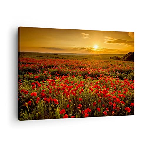 Bilder auf Leinwand Mohn Blume Wiese Leinwandbild mit Rahmen 70x50cm Wandbilder Dekoration Wohnzimmer Schlafzimmer Küche Deko Klein Wanddeko Bild Wand Kunstdruck Art Wall Decor Canvas AA70x50-3643 von ARTTOR