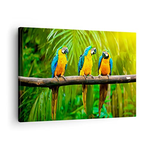 Bilder auf Leinwand Papageien Collorful Natur Vögel Leinwandbild 70x50cm Wandbilder Dekoration Wohnzimmer Schlafzimmer Küche Deko Klein Wanddeko Bild Wand Kunstdruck Art Wall Decor Canvas AA70x50-2696 von ARTTOR