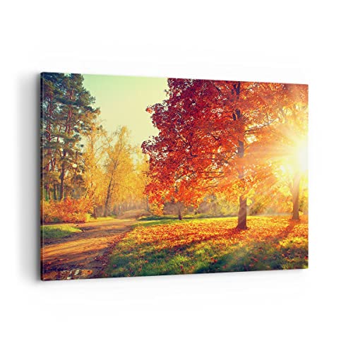 ARTTOR Wandbilder Dekoration Wohnzimmer Park Herbst Baum Bilder auf Leinwand 120x80cm Leinwandbild Schlafzimmer Küche Deko Wand Kunstdruck Art Groß XXL Wanddeko Bild Wall Decor Canvas AA120x80-3654 von ARTTOR