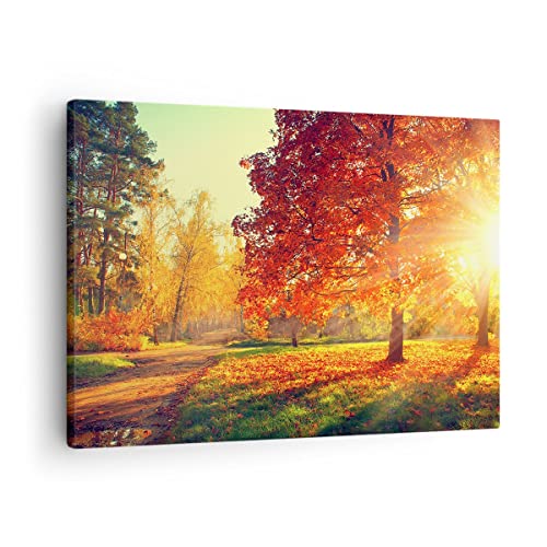 Bilder auf Leinwand Park Herbst Baum Leinwandbild mit Rahmen 70x50cm Wandbilder Dekoration Wohnzimmer Schlafzimmer Küche Deko Klein Wanddeko Bild Wand Kunstdruck Art Wall Decor Canvas AA70x50-3654 von ARTTOR