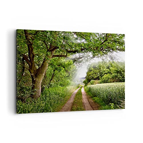 ARTTOR Bilder auf Leinwand 100x70cm Leinwandbild Pfad Natur Wald Grün Groß Wanddeko Bild Schlafzimmer Küche Deko Wandbilder Dekoration Wohnzimmer Wall Decor Canvas Wand Kunstdruck Art AA100x70-2637 von ARTTOR