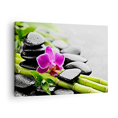 Bilder auf Leinwand Pflanze Steine Bambus Spa Leinwandbild 70x50cm Wandbilder Dekoration Wohnzimmer Schlafzimmer Küche Deko Klein Wanddeko Bild Wand Kunstdruck Art Wall Decor Canvas AA70x50-2681 von ARTTOR