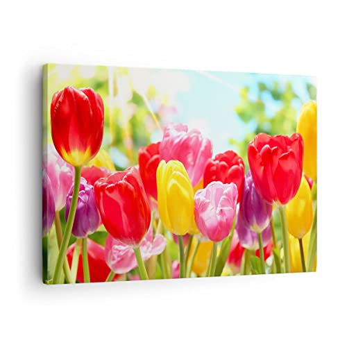 Bilder auf Leinwand Tulpe Blume Garten Plantage Leinwandbild 70x50cm Wandbilder Dekoration Wohnzimmer Schlafzimmer Küche Deko Klein Wanddeko Bild Wand Kunstdruck Art Wall Decor Canvas AA70x50-2466 von ARTTOR