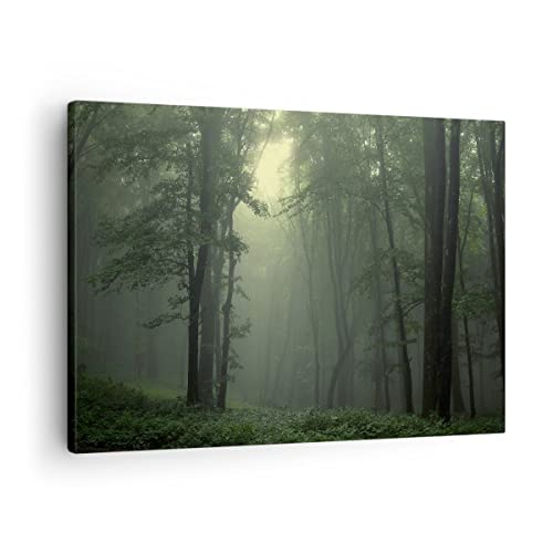 Bilder auf Leinwand Wald Nebel Baum Leinwandbild mit Rahmen 70x50cm Wandbilder Dekoration Wohnzimmer Schlafzimmer Küche Deko Klein Wanddeko Bild Wand Kunstdruck Art Wall Decor Canvas AA70x50-3543 von ARTTOR