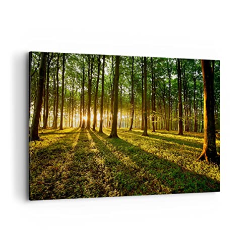 Wandbilder Dekoration Wohnzimmer Wald grün Sonnenstrahlen Natur Bilder auf Leinwand 120x80cm Leinwandbild Schlafzimmer Deko Wand Kunstdruck Art Groß XXL Wanddeko Bild Wall Decor Canvas AA120x80-2510 von ARTTOR