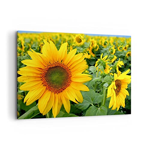 Bilder auf Leinwand 100x70cm Leinwandbild Wolken Sonnenblumen Plantagen Groß Wanddeko Bild Schlafzimmer Küche Deko Wandbilder Dekoration Wohnzimmer Wall Decor Canvas Wand Kunstdruck Art AA100x70-1157 von ARTTOR