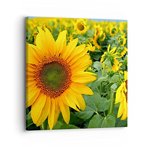 Bilder auf Leinwand Wolken Sonnenblumen Plantagen Leinwandbild 30x30cm Wandbilder Dekoration Wohnzimmer Schlafzimmer Küche Deko Klein Wanddeko Bild Wand Kunstdruck Art Wall Decor Canvas AC30x30-1157 von ARTTOR