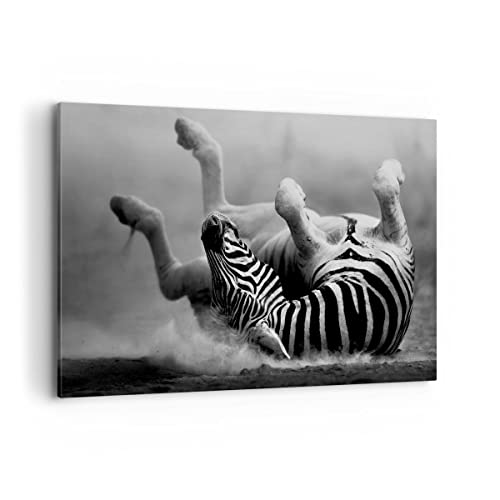 Bilder auf Leinwand 100x70cm Leinwandbild Zebra Streifen Tier wild Groß Wanddeko Bild Schlafzimmer Küche Deko Wandbilder Dekoration Wohnzimmer Wall Decor Canvas Wand Kunstdruck Art AA100x70-2699 von ARTTOR
