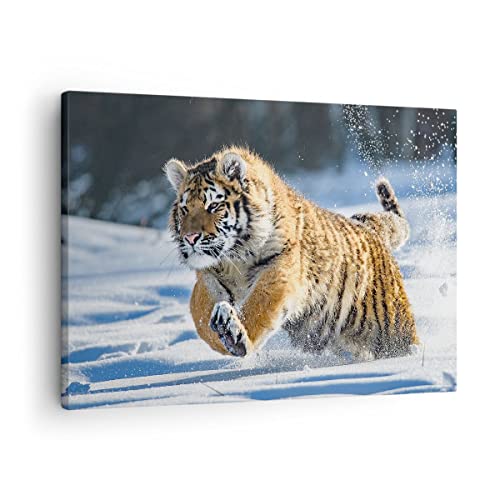 ARTTOR Bilder auf Leinwand tiger tier Leinwandbild mit Rahmen 70x50cm Wandbilder Dekoration Wohnzimmer Schlafzimmer Küche Deko Klein Wanddeko Bild Wand Kunstdruck Art Wall Decor Canvas AA70x50-3928 von ARTTOR