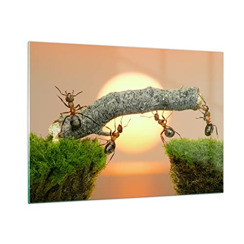 Bilder auf Glas 100x70cm Glasbild Tiere Ameisen Brücke Natur Groß Wanddeko Bild im Glas Schlafzimmer Küche Deko Wandbilder Dekoration Wohnzimmer Modern Wall Decor Wand Kunstdruck Art GAA100x70-2104 von ARTTOR