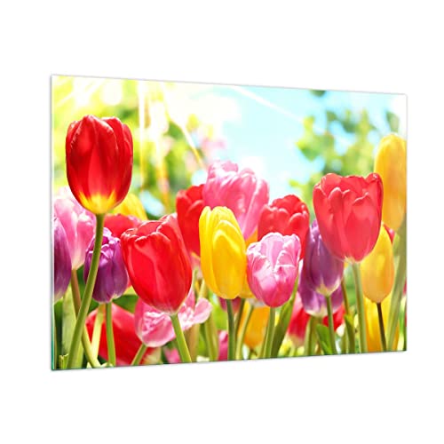 Bilder auf Glas 100x70cm Glasbild Tulpe Blume Garten Plantage Groß Wanddeko Bild im Glas Schlafzimmer Küche Deko Wandbilder Dekoration Wohnzimmer Modern Wall Decor Wand Kunstdruck Art GAA100x70-2466 von ARTTOR