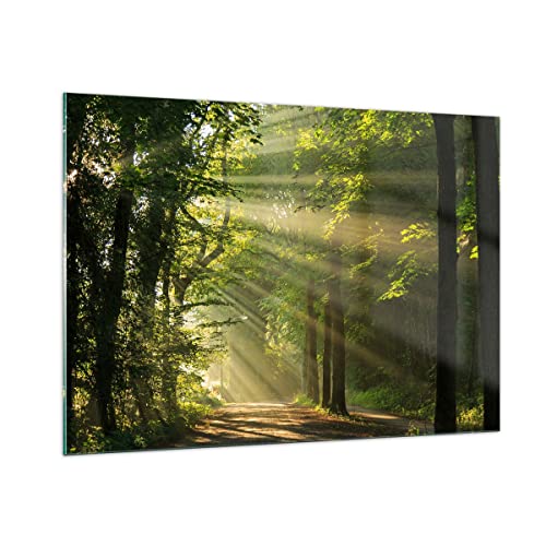 Bilder auf Glas 100x70cm Glasbild Wald Baum Natur Groß Wanddeko Bild im Glas Schlafzimmer Küche Deko Wandbilder Dekoration Wohnzimmer Modern Wall Decor Glasdruck Wand Kunstdruck Art GAA100x70-3661 von ARTTOR