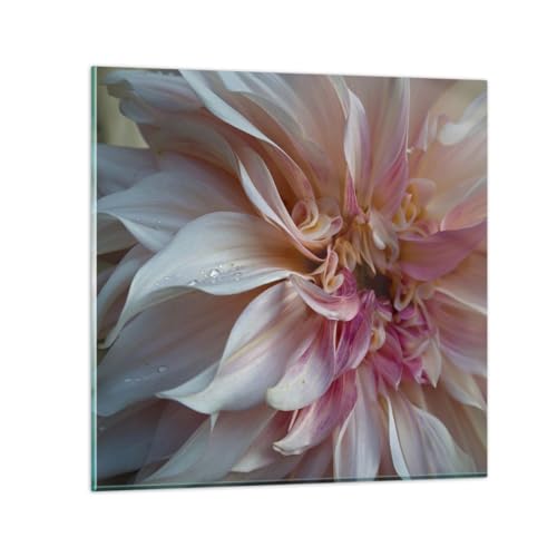 Bilder auf Glas Blume Dahlie Anlage Glasbild 30x30cm Wandbilder Dekoration Wohnzimmer Schlafzimmer Küche Deko Klein Wanddeko Bild im Glas Wand Kunstdruck Art Modern Wall Decor Glasdruck GAC30x30-5352 von ARTTOR