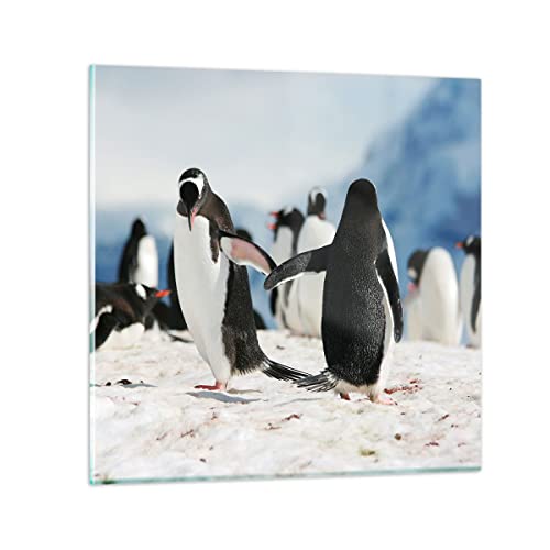 Bilder auf Glas Pinguine Winter Natur Schnee Glasbild 30x30cm Wandbilder Dekoration Wohnzimmer Schlafzimmer Küche Deko Klein Wanddeko Bild im Glas Wand Kunstdruck Art Modern Wall Decor GAC30x30-2974 Bilder auf Glas Pinguine Winter Natur Schnee Glasbild 30x30cm Wandbilder Dekoration Wohnzimmer Schlafzimmer Küche Deko Klein Wanddeko Bild im Glas Wand Kunstdruck Art Modern Wall Decor GAC30x30-2974 von ARTTOR